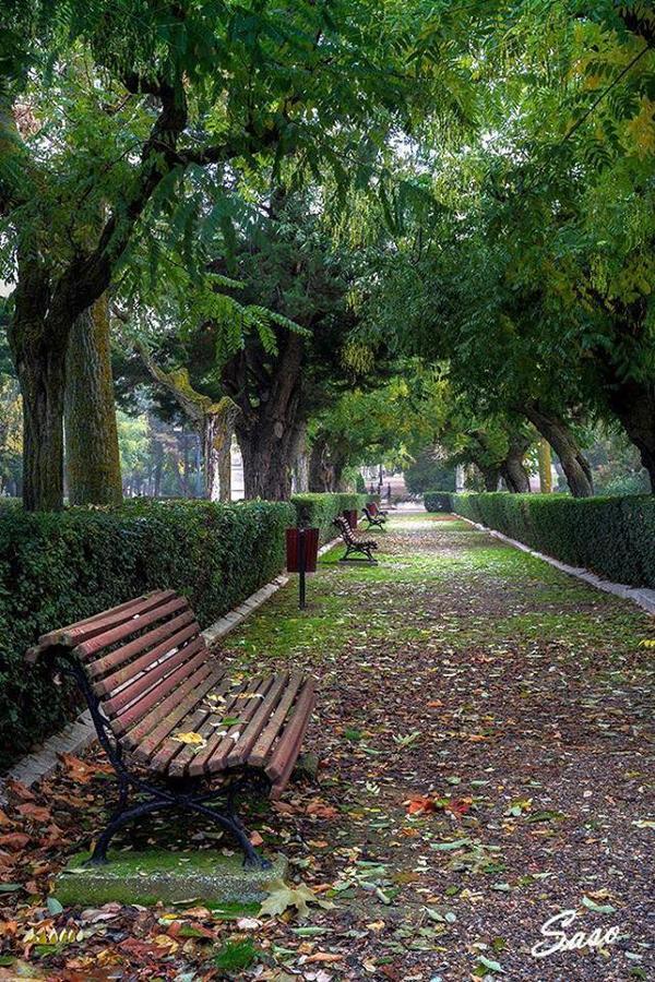 Pension Casa Pinilla Cascante Εξωτερικό φωτογραφία